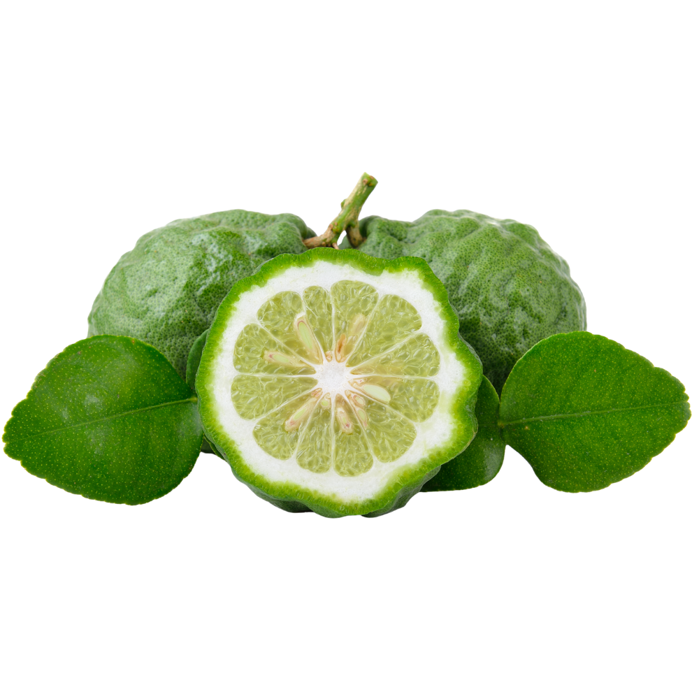 Bergamot