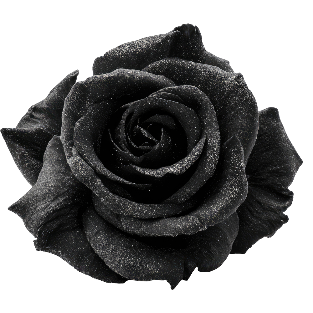 Black Rose