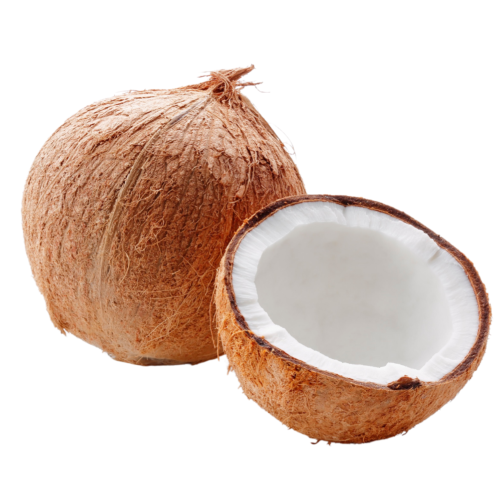 Coconut