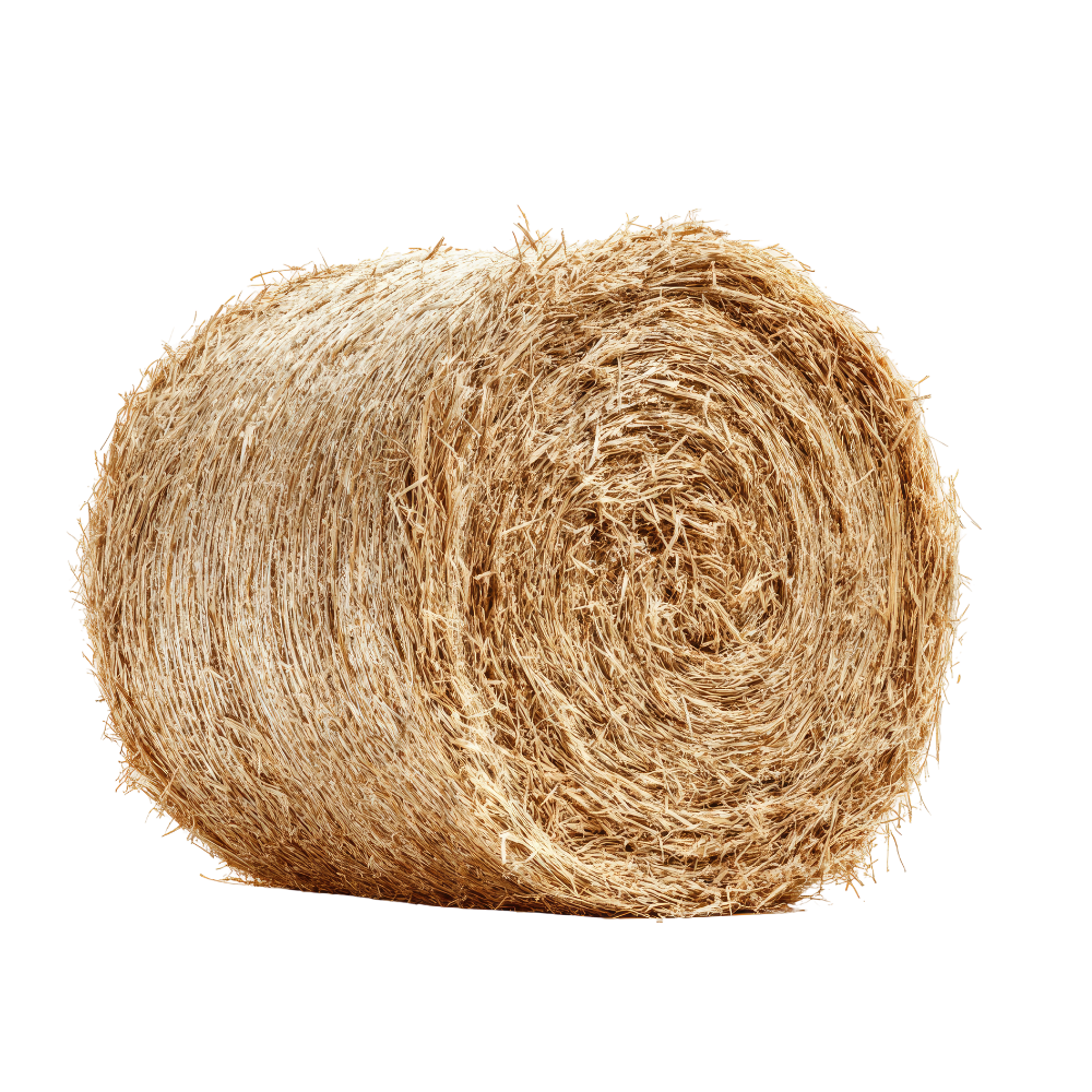 hay