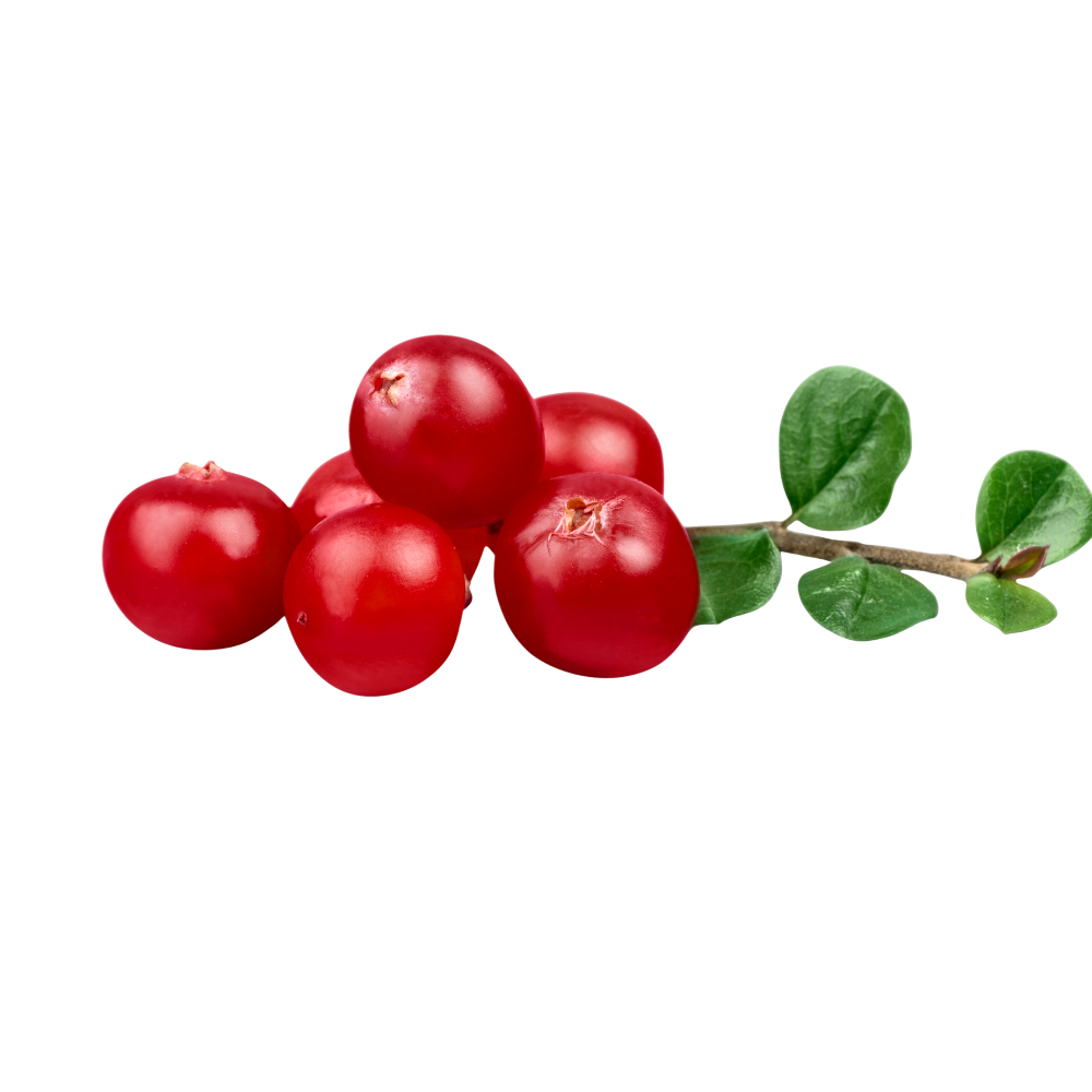 Red berries
