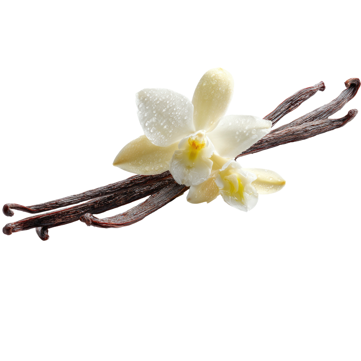 Vanilla (Madagascar)