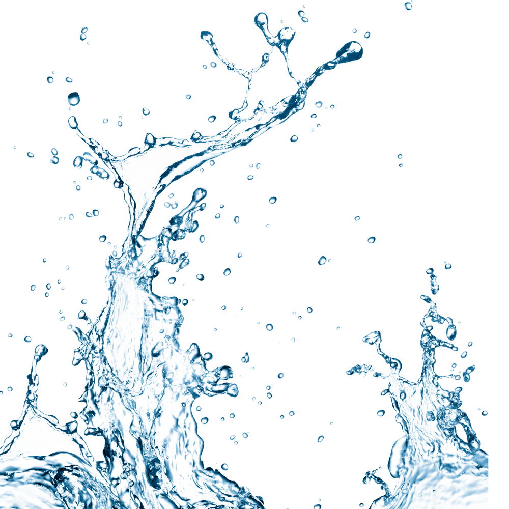 Rose Water